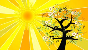Lire la suite à propos de l’article Solstice – Le Soleil rentre en Cancer le 21 juin 2026